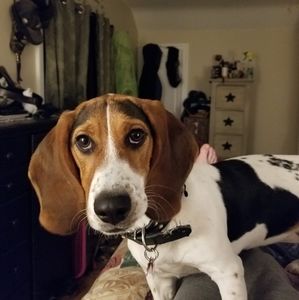 Meet your Posher, Scott